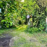 Little Garden