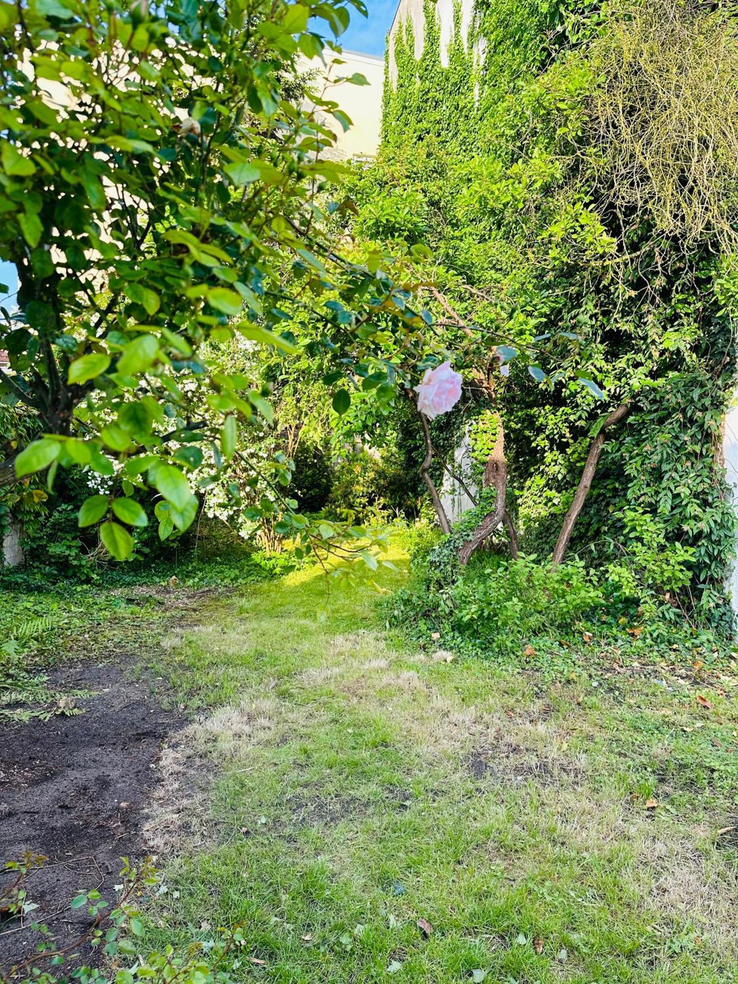 Little Garden
